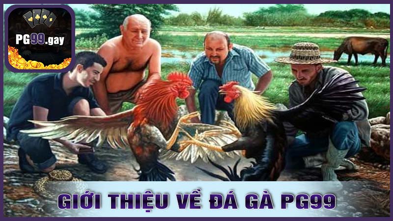 Giới thiệu về đá gà PG99