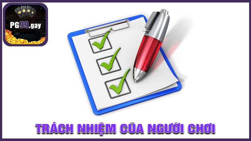 Trách nhiệm của người chơi khi chơi cá cược trực tuyến